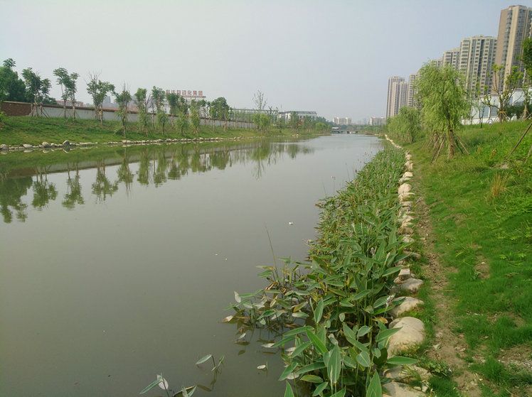 蚌埠市天公河及席家溝部分岸線環境綜合治理施工Ⅳ標
